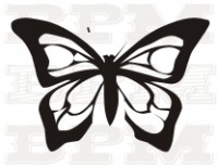 /album/hmyz/hmyz-28-jpg/